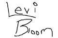 levi bloom